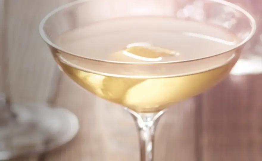 Trockener Wermut - Dry oder Extra Dry? Tipps für Martini