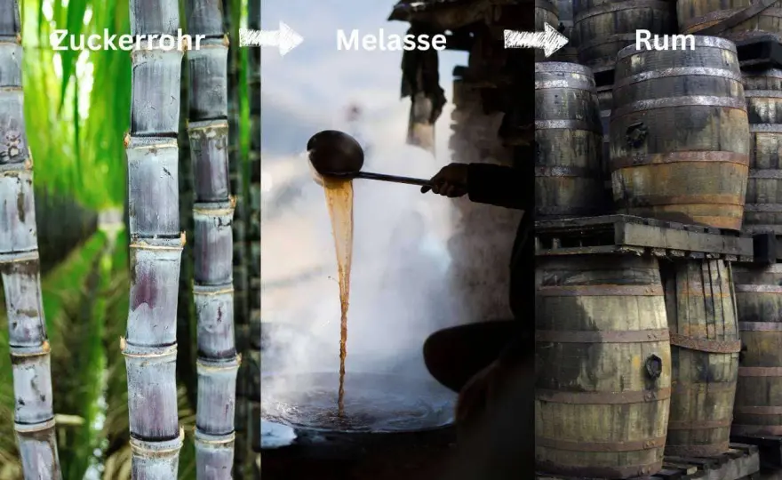 Woraus wird Rum gemacht? Melasse, Saft und mehr