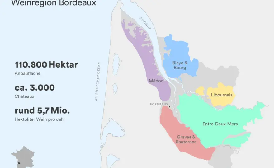 Bordeaux-Weinbaugebiet verstehen - Regionen, Rebsorten und Weine