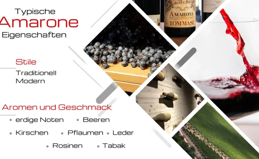 Amarone erklärt - Herstellung, Geschmack und passende Speisen