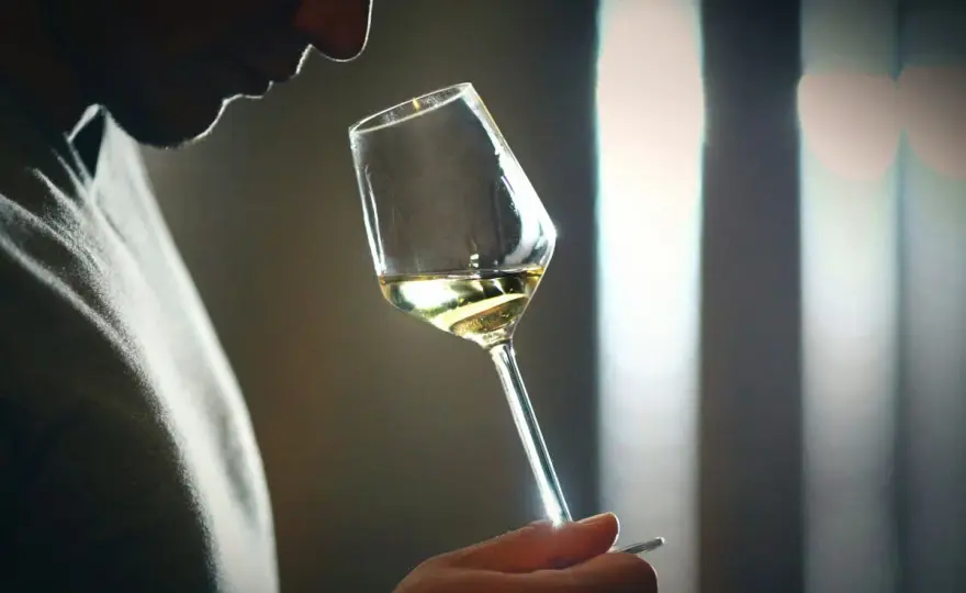 Wein riecht nach Aceton? Ethylacetat erkennen und richtig handeln