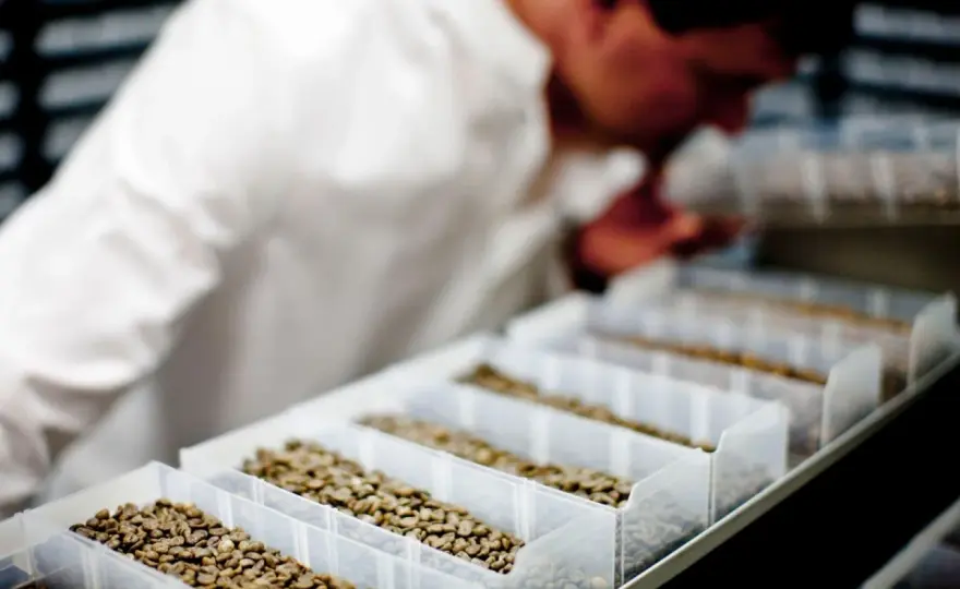 Wie wird Kaffee entkoffeiniert? Verfahren und Restkoffein