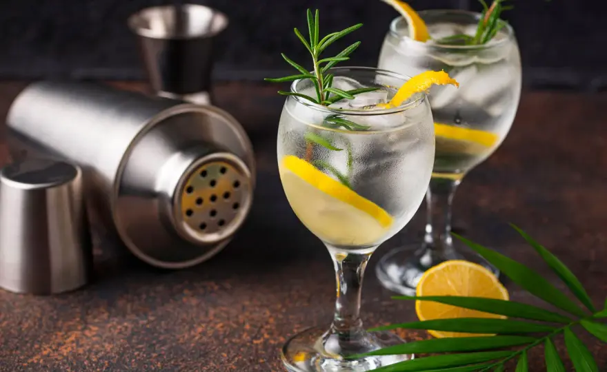 Gin Kalorien und Gin Tonic - die wichtigsten Zahlen