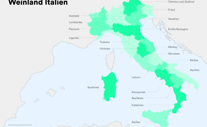 Italienische Rebsorten verstehen und den passenden Wein finden
