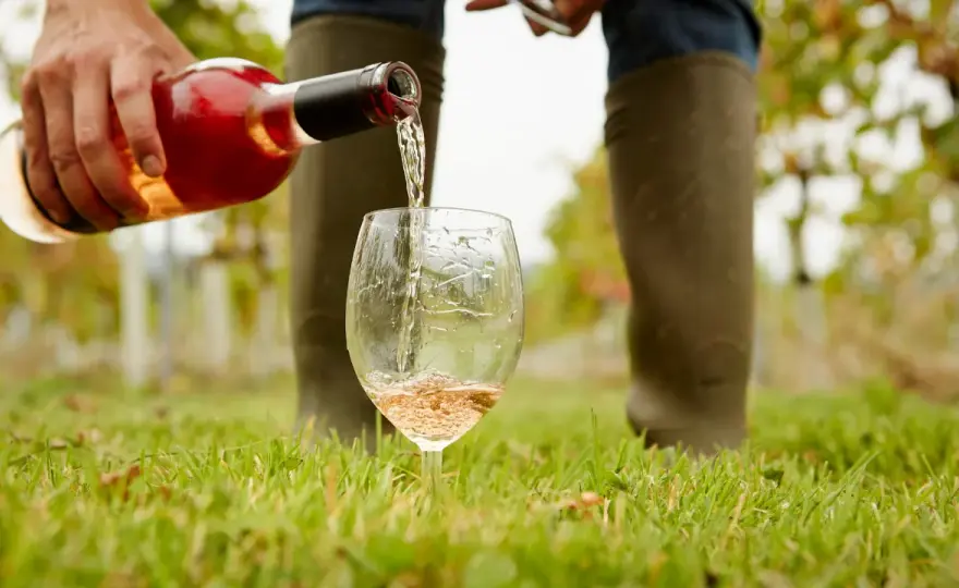 Pinot Noir als Spätburgunder verstehen und genießen