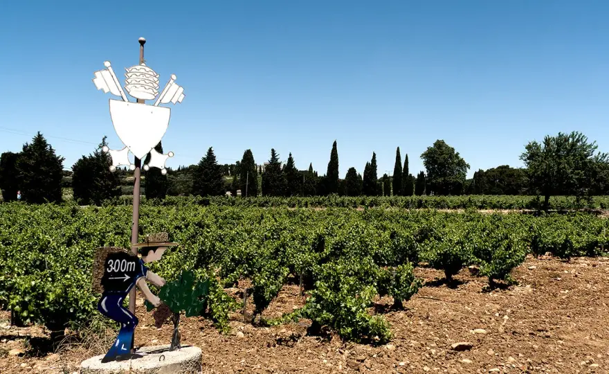 Châteauneuf-du-Pape verstehen - Rebsorten, Stil und Servieren