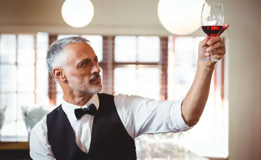 Master of Wine werden - Voraussetzungen, Prüfung und Zubehör