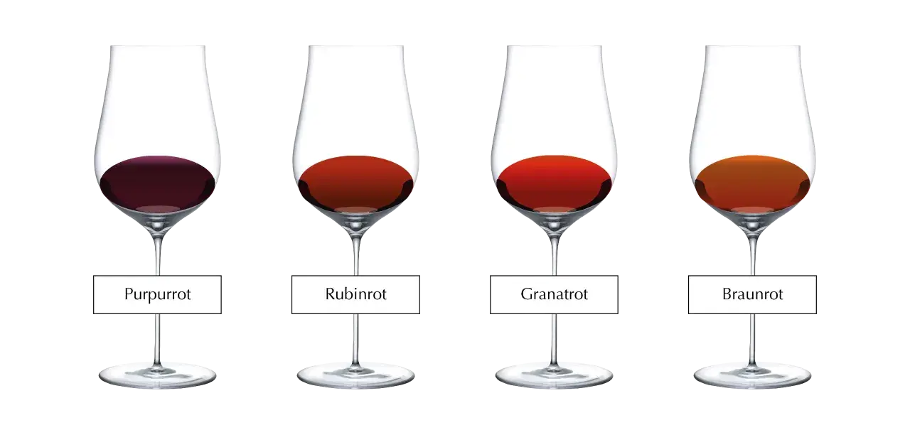 Vier Gläser mit Rotwein in unterschiedlichen Farbtönen: Purpurrot, Rubinrot, Granatrot und Braunrot.
