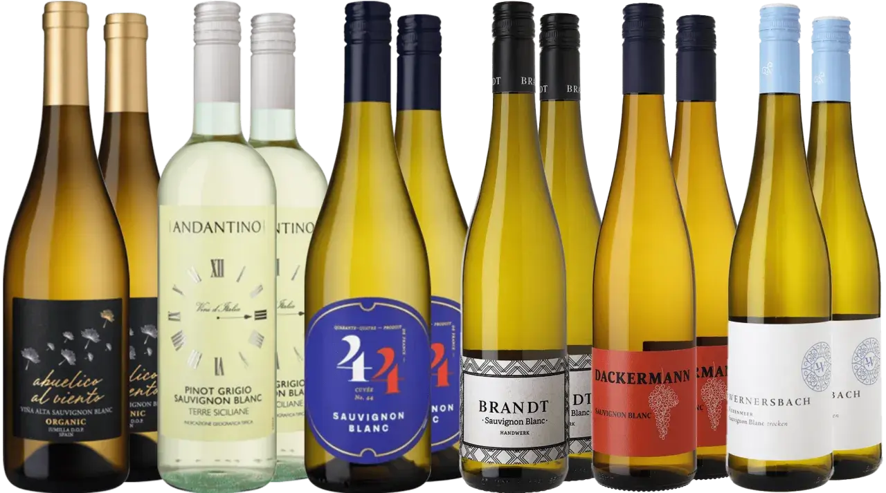 Eine Auswahl an Sauvignon Blanc Weinen, darunter spanische, italienische und deutsche Varianten, präsentiert sich in verschiedenen Flaschen.