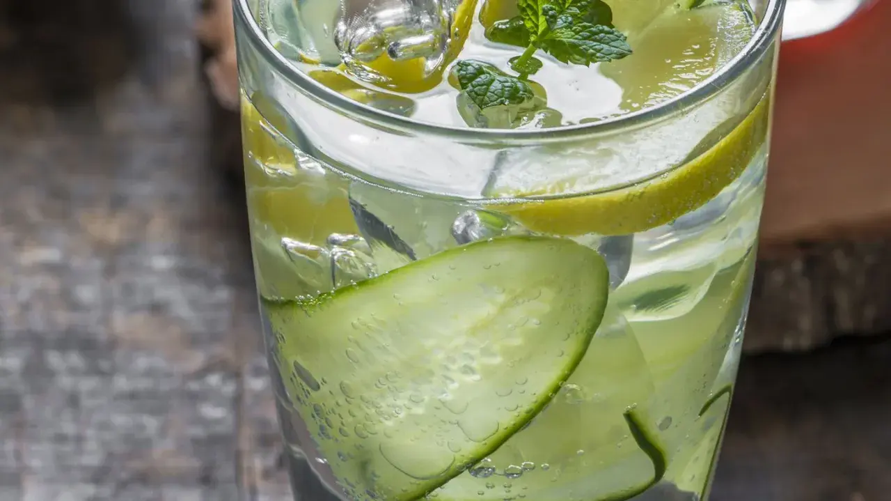 Erfrischender Gin Tonic mit Gurkenscheiben, Zitronen und Minze. So sieht ein perfekter Gin Tonic aus!