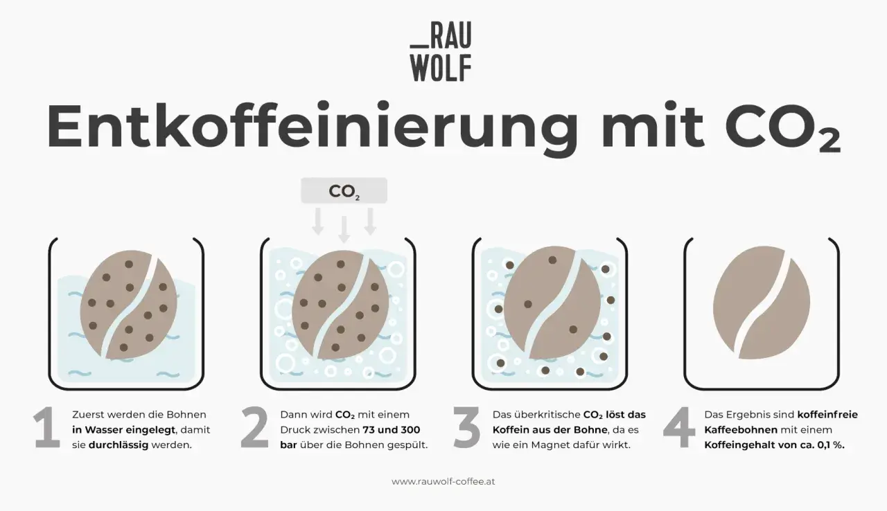 Entkoffeinierter Kaffee gesund: CO₂-Verfahren erklärt. Bohnen werden erst in Wasser, dann mit CO₂ behandelt, um Koffein zu entfernen.