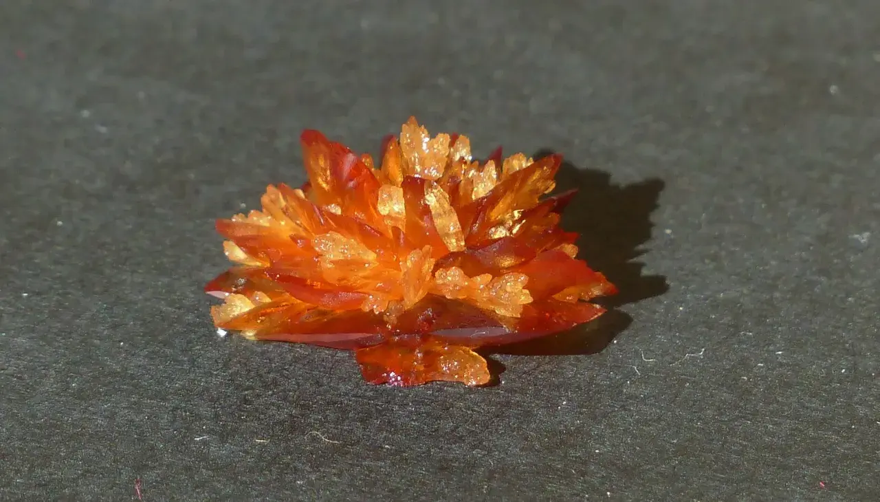 Orange-rote Kristalle, die wie eine Blüte aussehen, bilden eine Weinsteinablagerung auf dunklem Untergrund.
