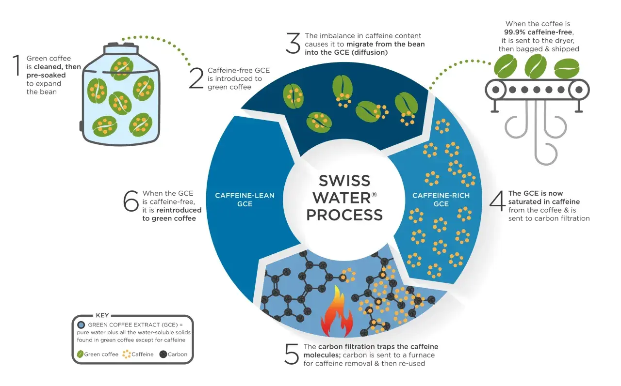 Der Swiss Water® Prozess entfernt Koffein aus Kaffee. Grüner Kaffee wird gereinigt, dann mit koffeinfreiem Extrakt behandelt, um das Koffein zu extrahieren.