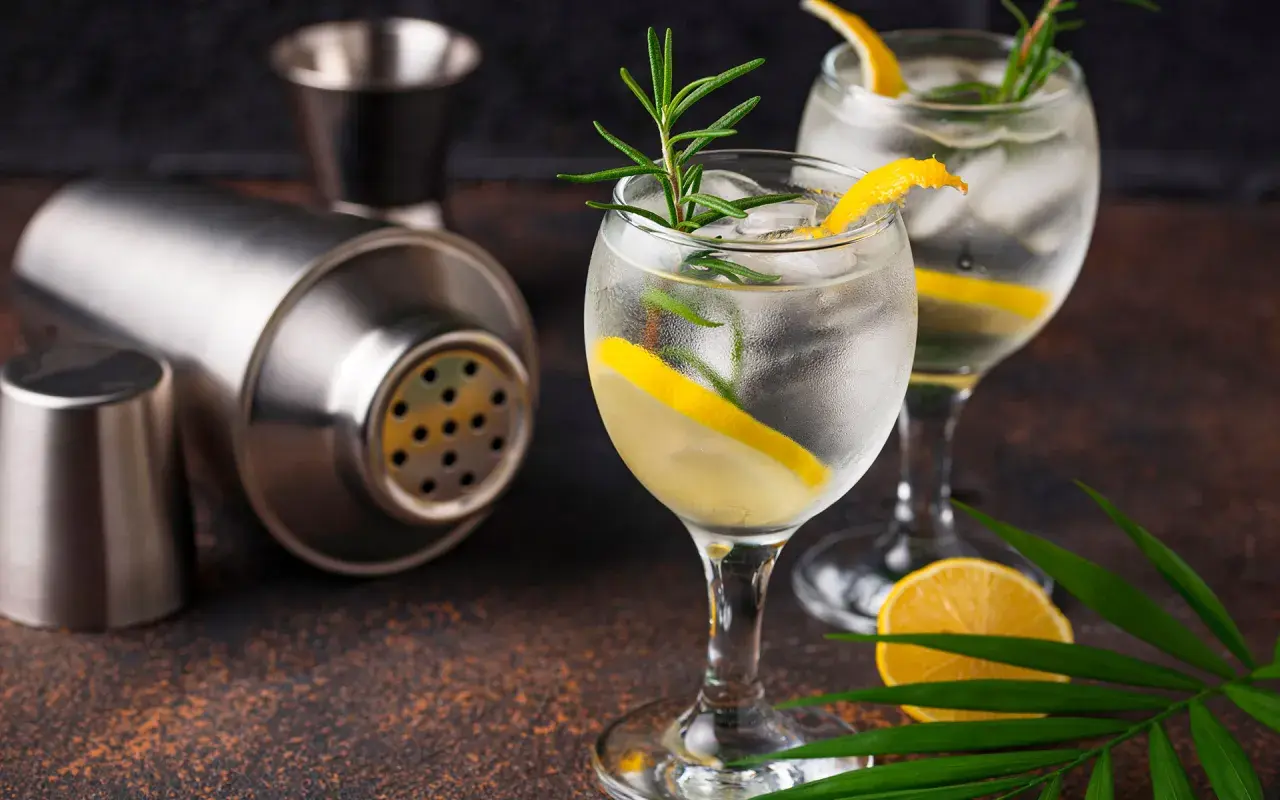 Zwei erfrischende Gin-Tonics mit Zitrone und Rosmarin, daneben ein Cocktail-Shaker. Wer sich fragt, wieviel Kalorien Gin hat, findet hier Inspiration für einen leichten Genuss.
