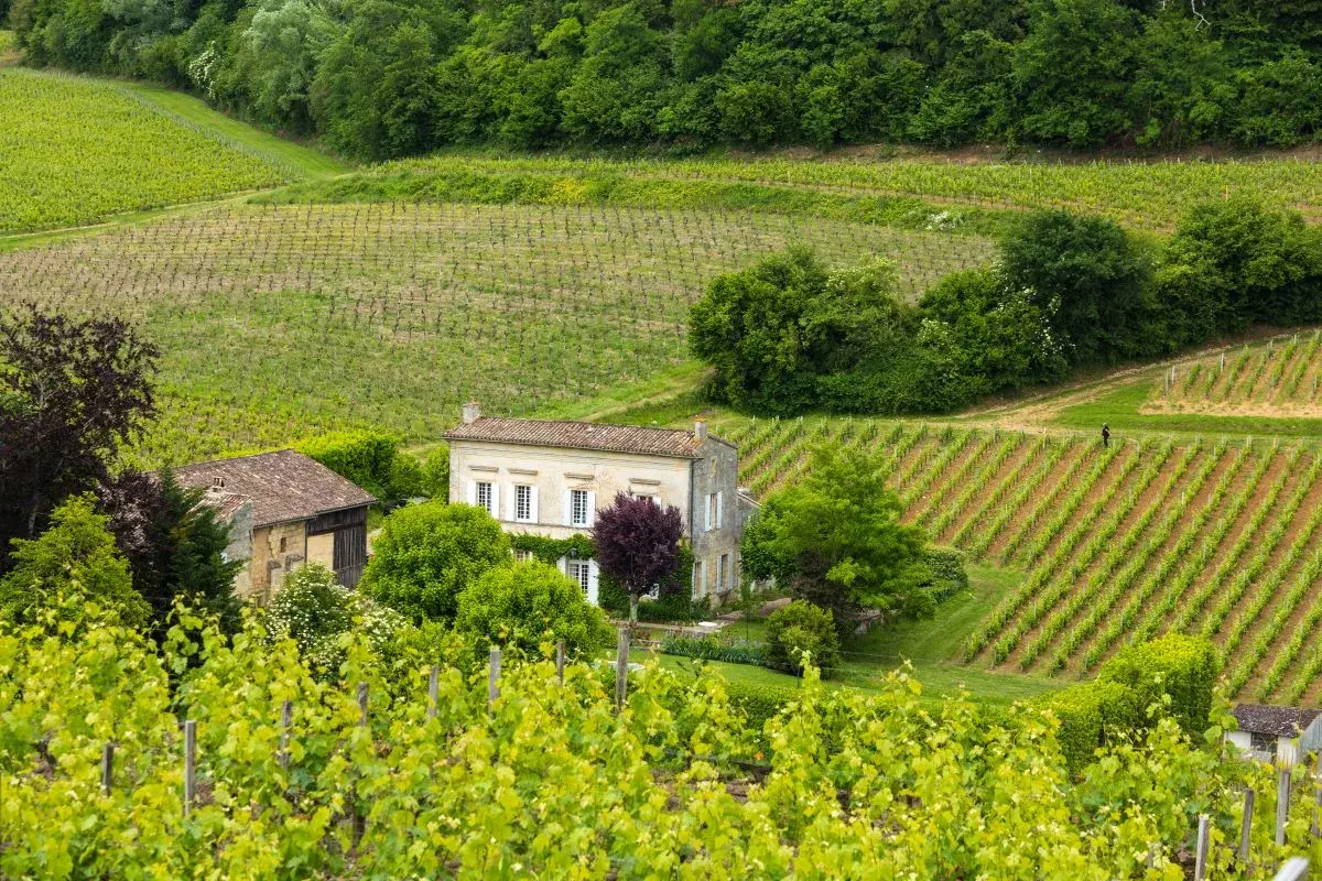 Grüne Weinberge erstrecken sich über Hügel, mit einem Haus und Scheune im Zentrum. Dies ist ein typisches Bild von Bordeaux, wo Wein angebaut wird.