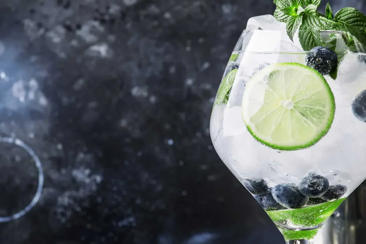 Erfrischender Gin Tonic mit Blaubeeren, Limette und Minze. Dieser ist gin glutenfrei und perfekt für heiße Tage.