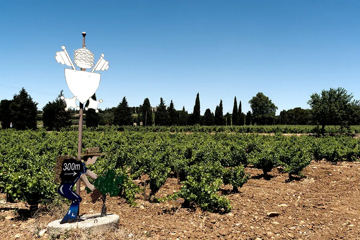 Weinberge in Châteauneuf-du-Pape mit einem Schild, das auf 300m hinweist.