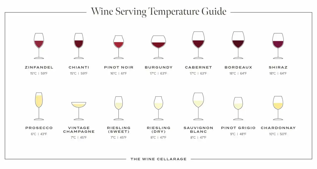 Wein-Serviertemperatur-Guide: So trinkt man Roséwein und andere Weine richtig.