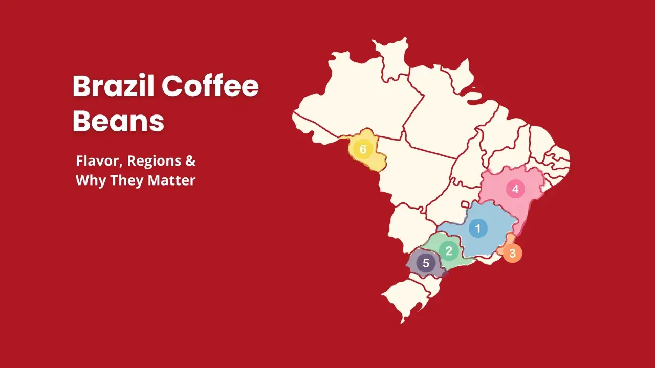 Brasil ist das Land, welches am meisten Kaffee produziert. Die Karte zeigt Kaffeeanbauregionen Brasiliens.