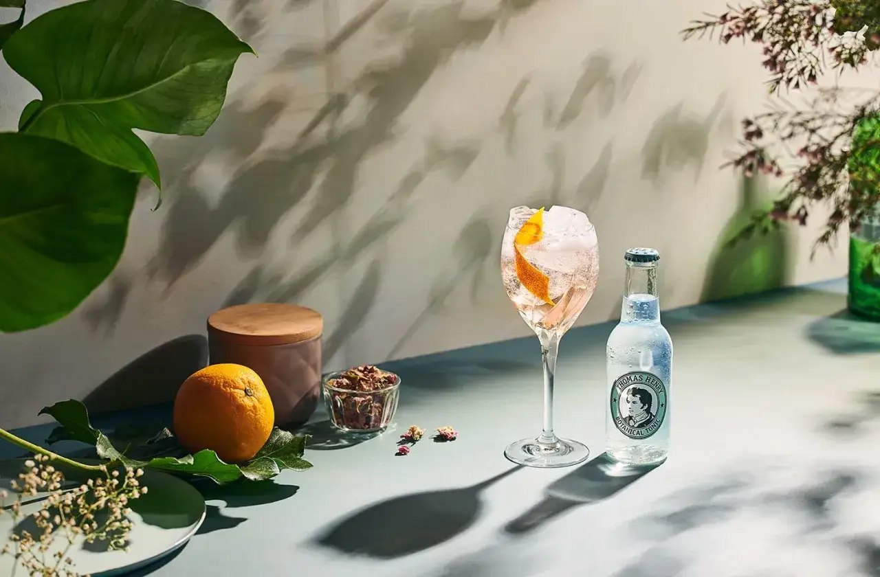 Ein erfrischender Drink mit Eis und Orangenzeste, daneben eine Flasche Tonic Water. Was ist Wermut? Hier wird er mit Botanicals und einer Orange präsentiert.