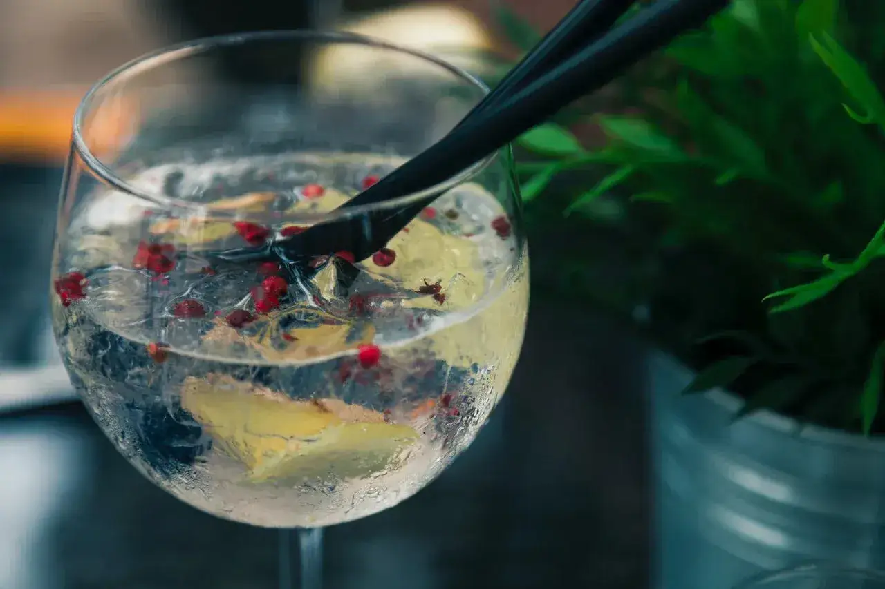 Erfrischender Gin Tonic mit Zitrone und rosa Pfeffer. Manche sagen, Gin hat eine positive gesundheitliche Wirkung.
