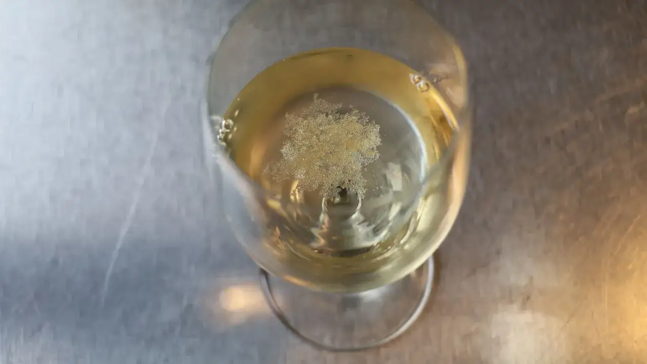 Feine weinstein ablagerung im Glas mit hellem Wein. Kleine Kristalle bilden eine interessante Struktur im Getränk.
