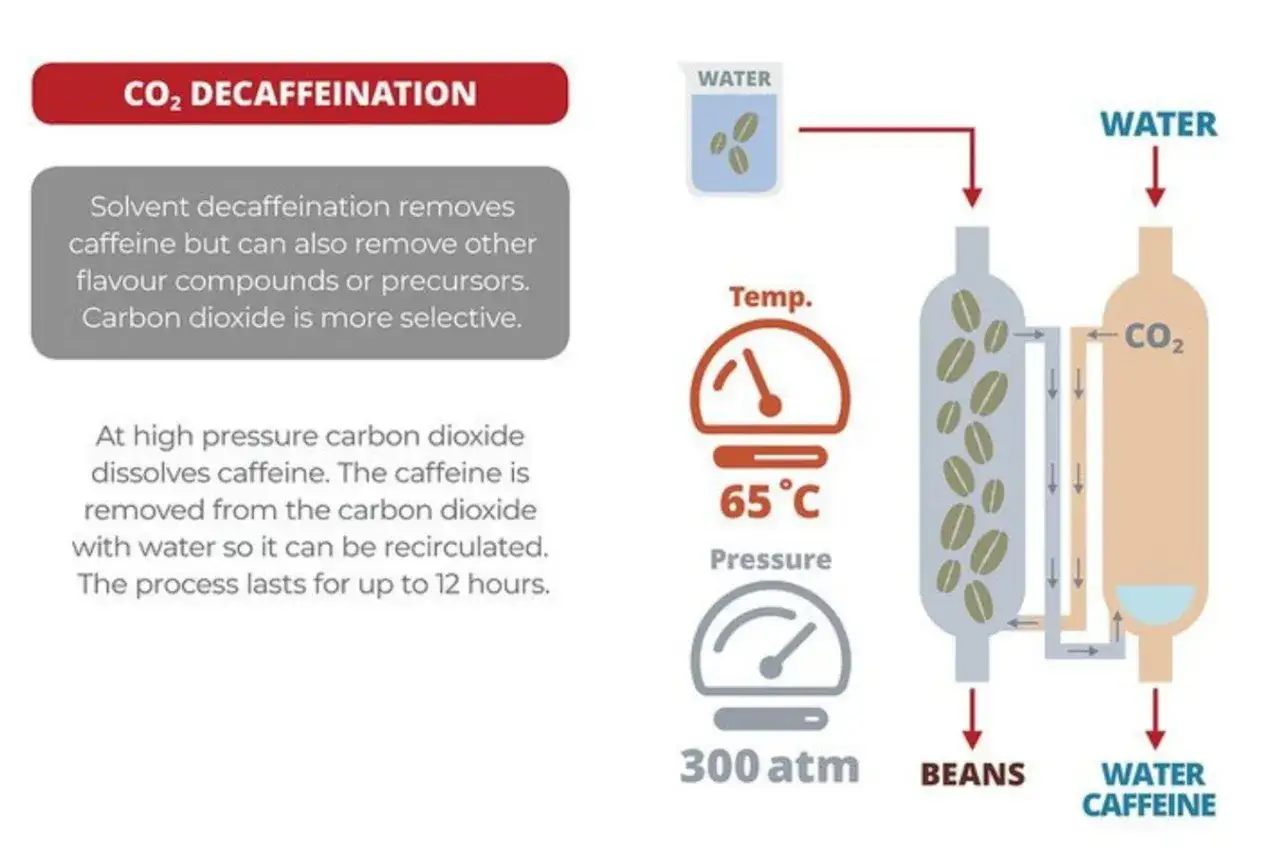 Schema zeigt CO2-Entkoffeinierung von Kaffee. Entkoffeinierter Kaffee gesund durch selektive CO2-Extraktion bei 65°C und 300 atm.