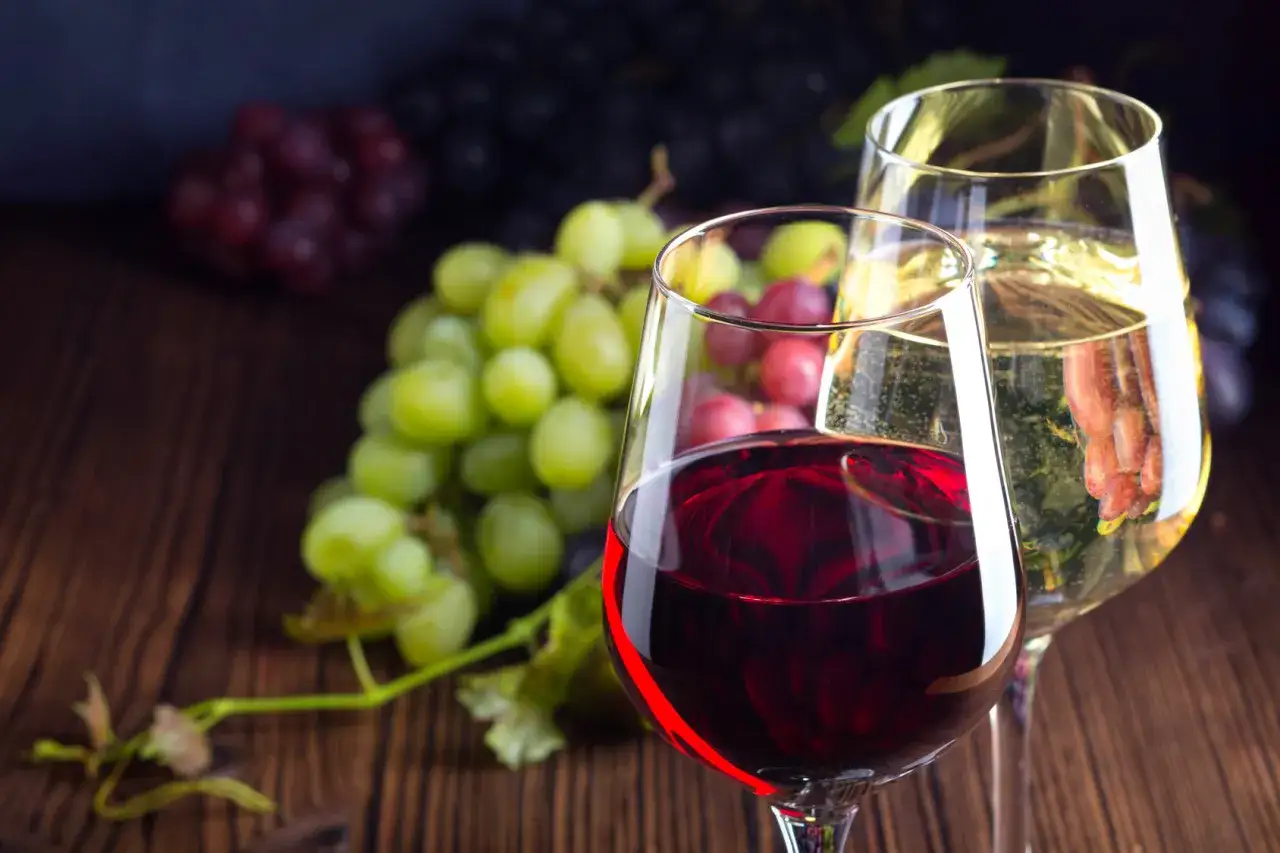 Zwei Gläser Wein, rot und weiß, mit Trauben im Hintergrund. Eine Auswahl an rotwein sorten, die zum Genuss einladen.