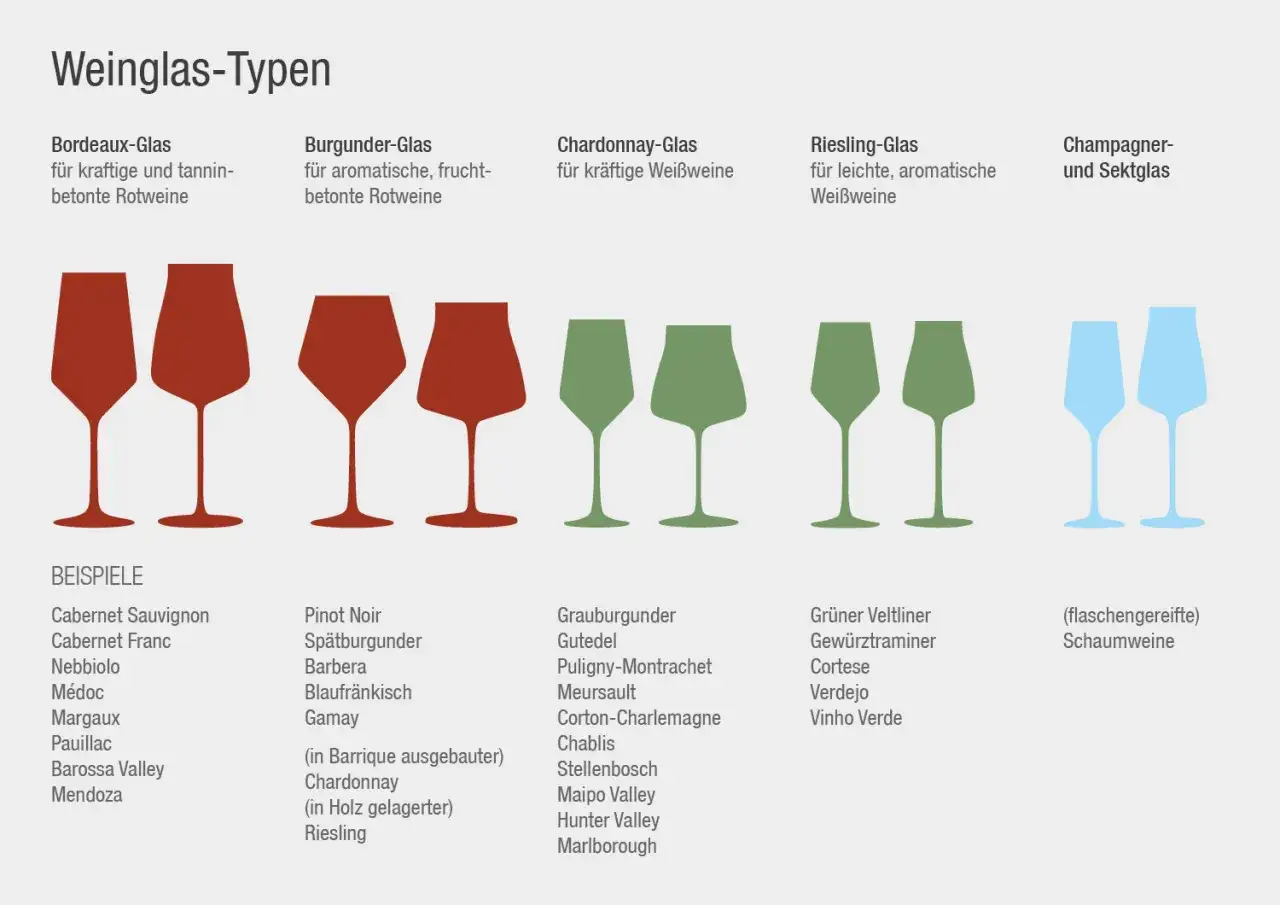Verschiedene weinglas arten für Rot- und Weißweine sowie Sekt. Bordeaux-, Burgunder-, Chardonnay- und Riesling-Gläser mit passenden Rebsorten.