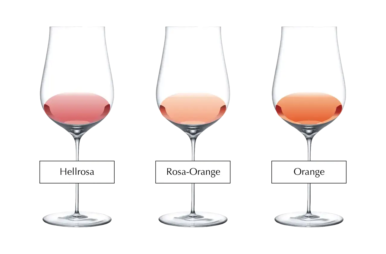 Drei Gläser mit Wein in verschiedenen Farbtönen: Hellrosa, Rosa-Orange und Orange. Eine visuelle Hilfe zur Wein-Bewertung.